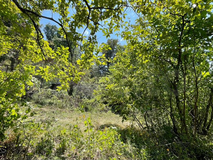 Участок 5,6 сот. (СНТ, ДНП)