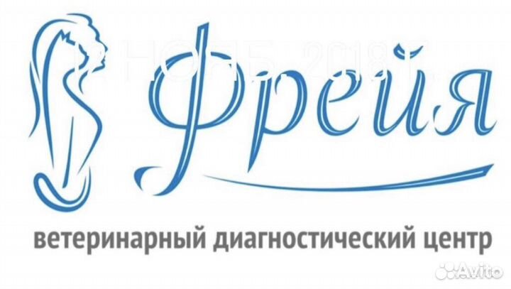 Врач-терапевт