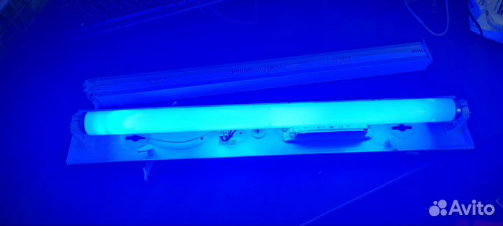 Лампа Philips TL 20W/52