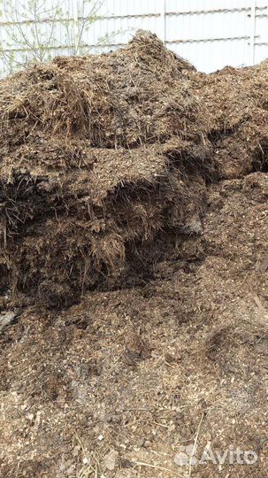 Перегной конский бесплатно