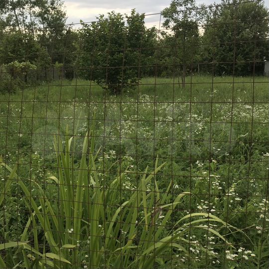 Участок 5,6 сот. (СНТ, ДНП)