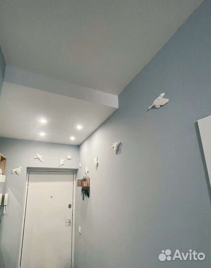 Пано на стену Полет птиц, парящие птицы