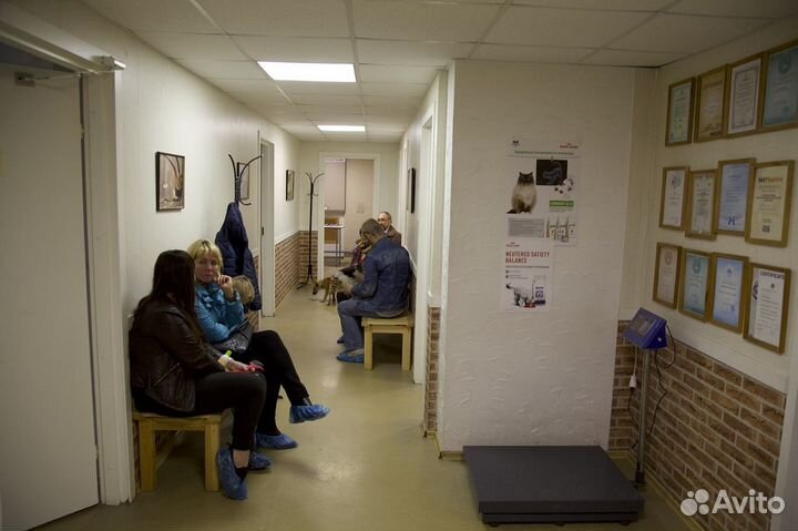 Ассистент ветеринарного врача