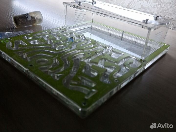 Муравьиная ферма большая