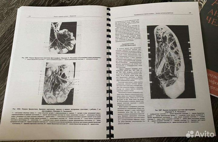Атлас анатомии человека Синельников 1-4 тома