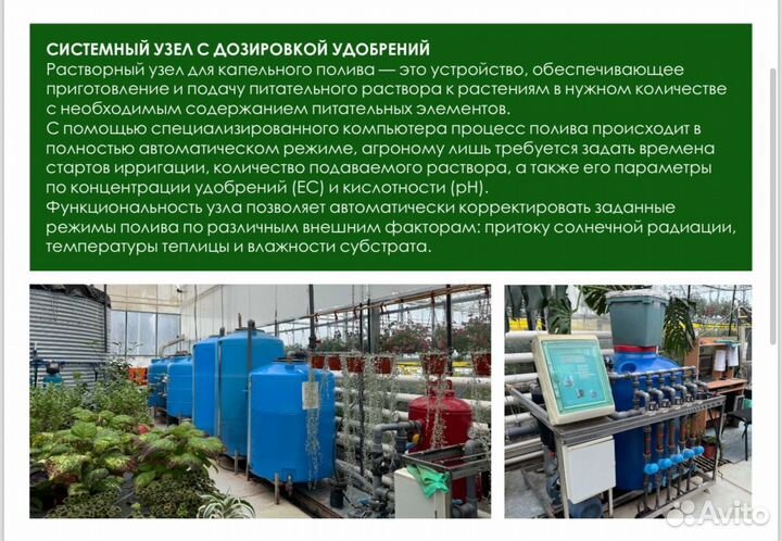 Готовый цветочный бизнес