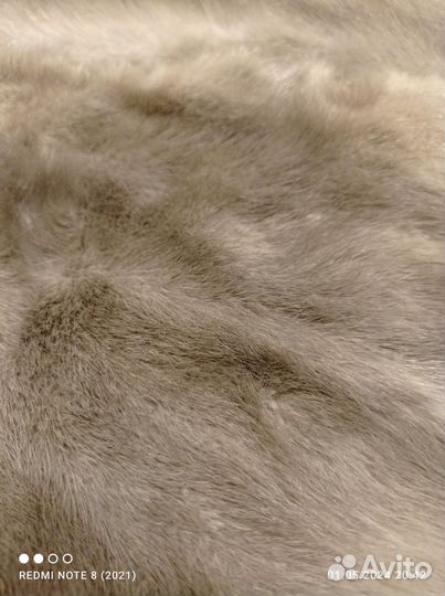 Шкурка животного