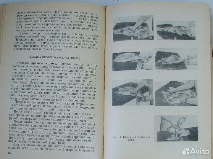 Технология и оборудование колбасного производства