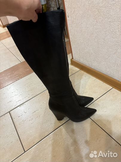 Carlo pazolini сапоги