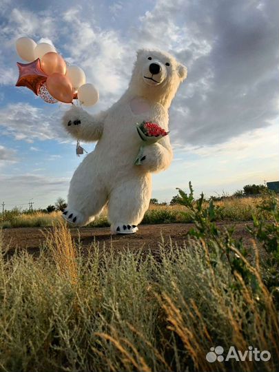 Белый мишка с сердцем поздравление