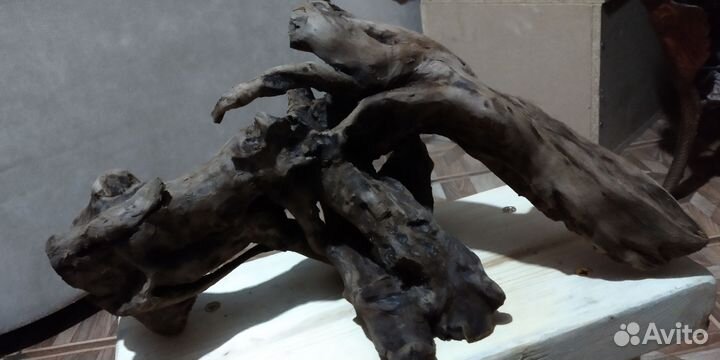 Натуральная каряга для аквариума