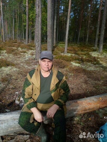 Регулировщик рэа и приборов (механические и климат