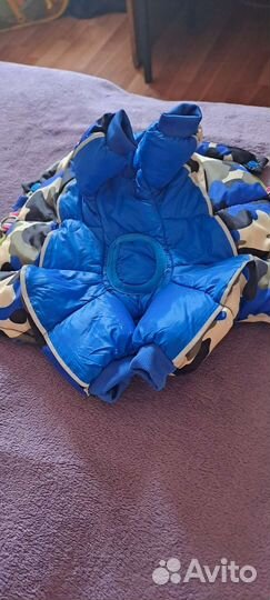 Костюм для собаки