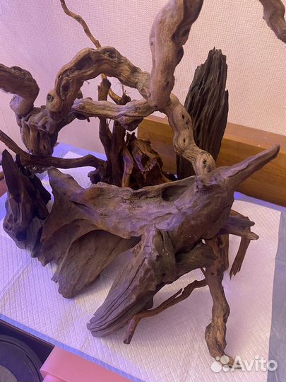 Коряги для аквариума мангры и не только