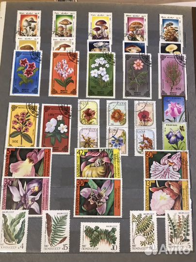 Альбом марки животные растения грибы 515шт