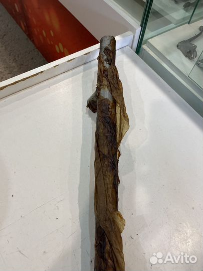 Правый выхлопной патрубок Мв 650