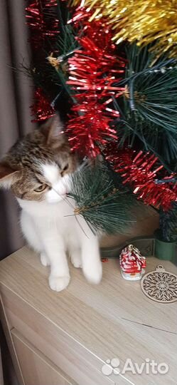 Елка искусственная литая 120