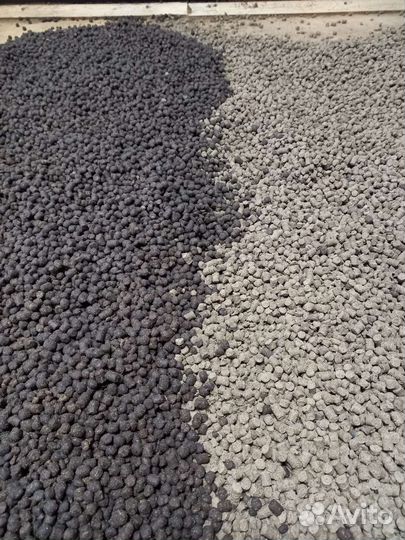 Корм для осетровых рыб