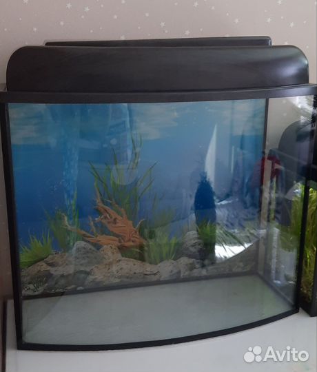 Аквариум 30 литров