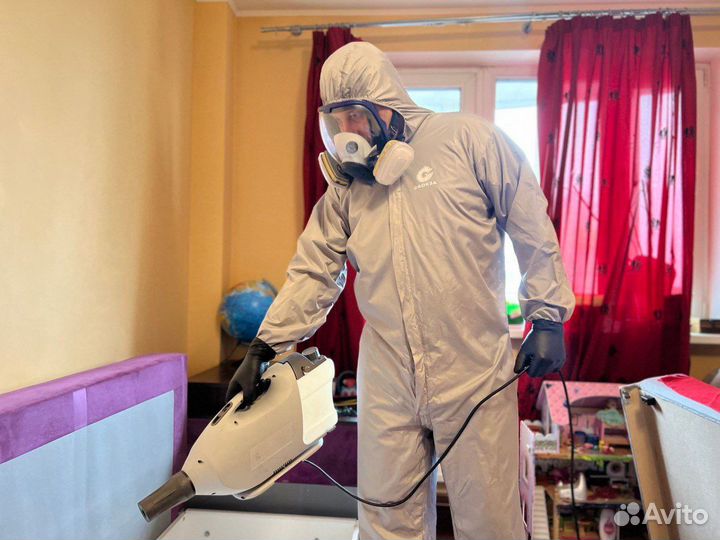 Дезинсекция уничтожение клопов, тараканов мышей