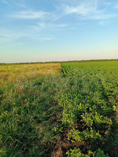 Участок 3,9 га (СНТ, ДНП)