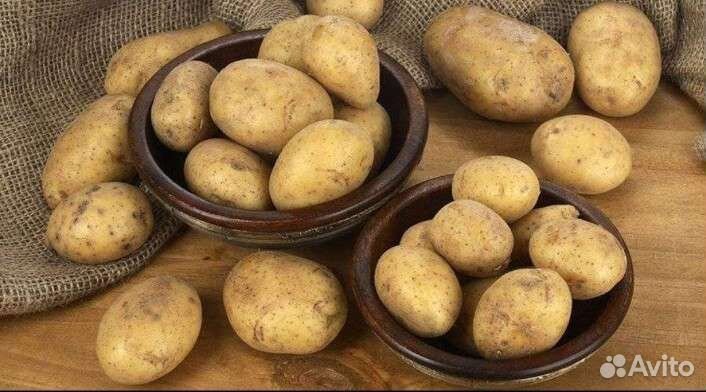 Продам картофель