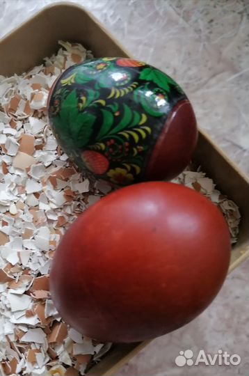 Яичная скорлупа