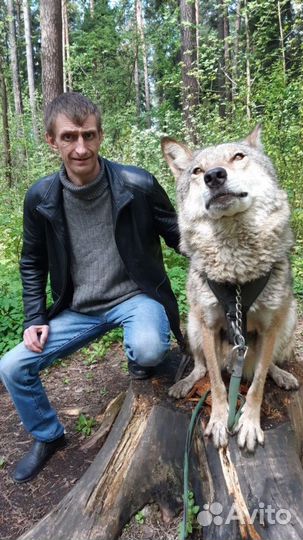 Водитель, прораб строительство,завхоз ахч