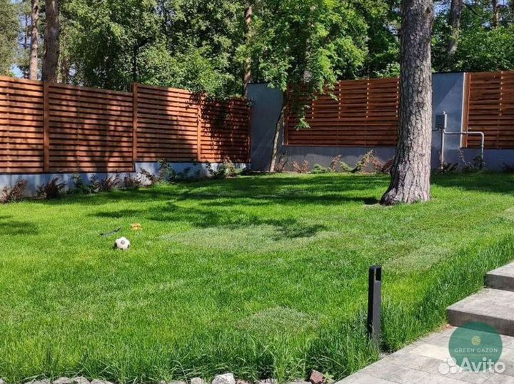 Качественный газон премиум