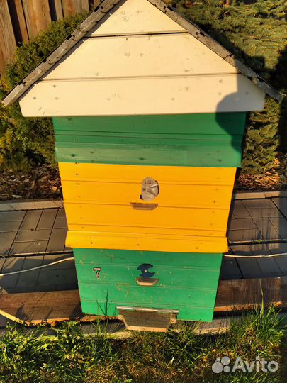 Продам ульи