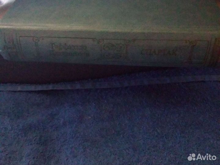 Спартак книга