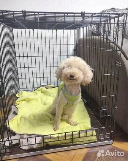 Клетки для небольших собак №3