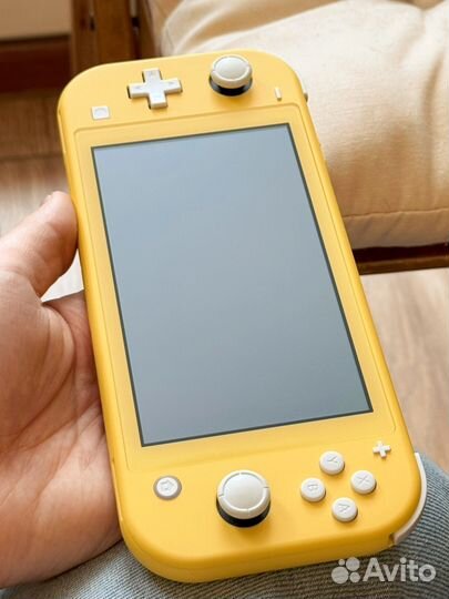 Nintendo switch lite