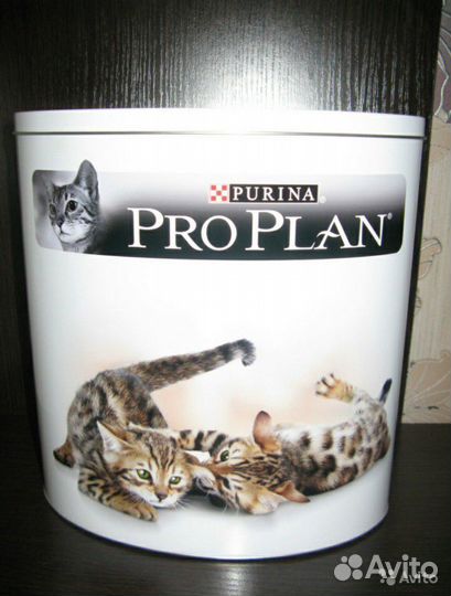 Банка для корма