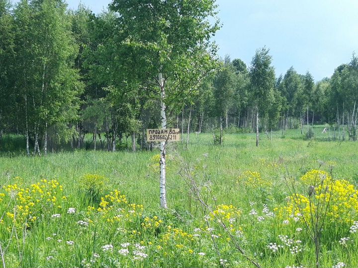 Участок 30 сот. (ИЖС)