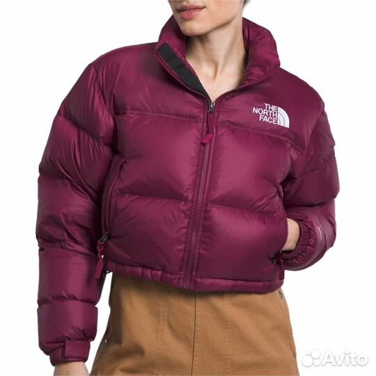 THE north face Nuptse Jacket Women's Plum (2XL)(44)
