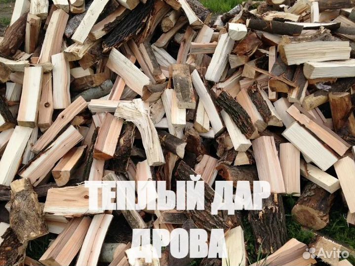 Дрова березовые колотые
