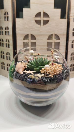 Мини-флорариум с живым растением