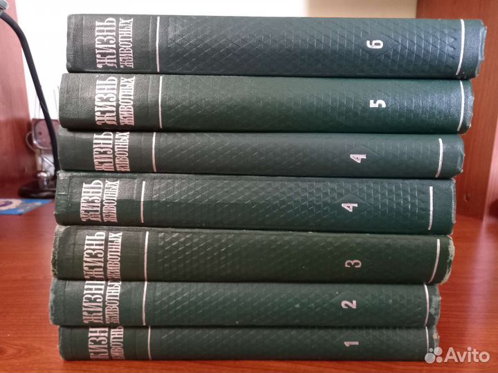 Жизнь животных