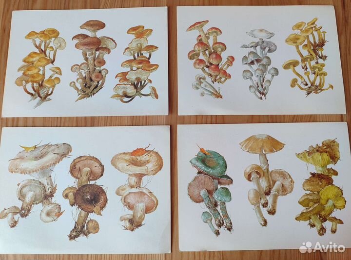 Набор открыток СССР А. К. Шипиленко 1990 гг