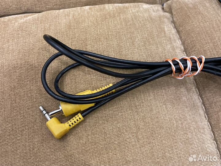 Тюльпаны провода