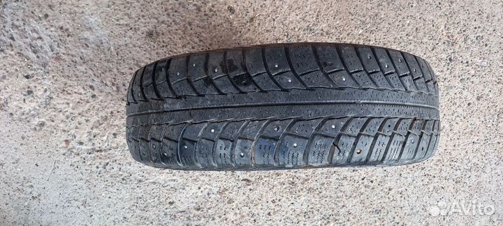 Gislaved Nord Frost 5 175/65 R14