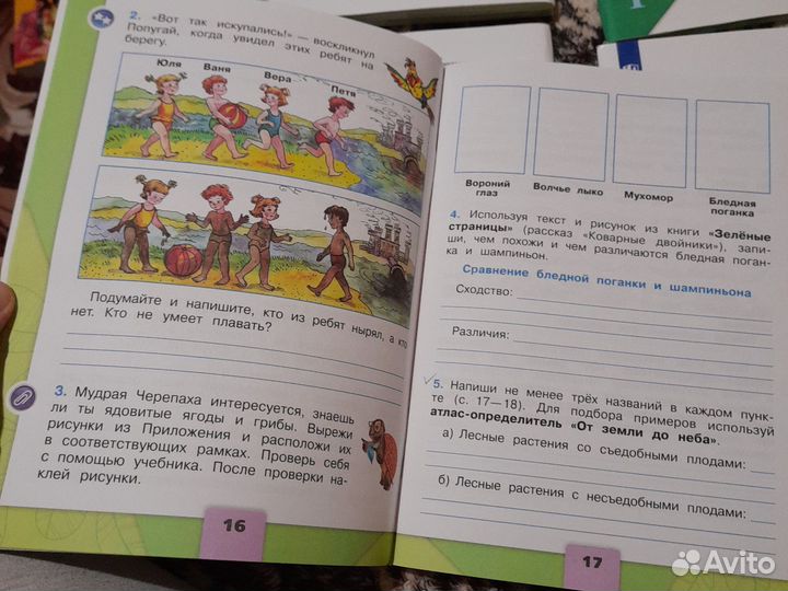 Рабочая тетрадь 2 класс окружающий мир