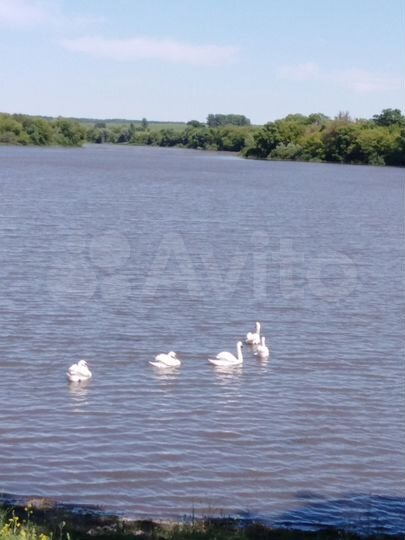 Участок 69 сот. (ИЖС)