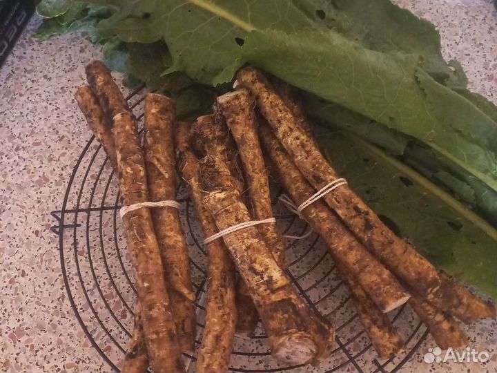 Корень хрена