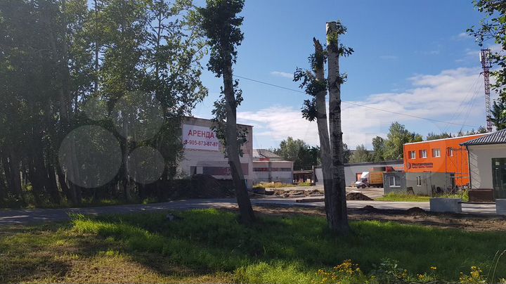 Сдам в аренду