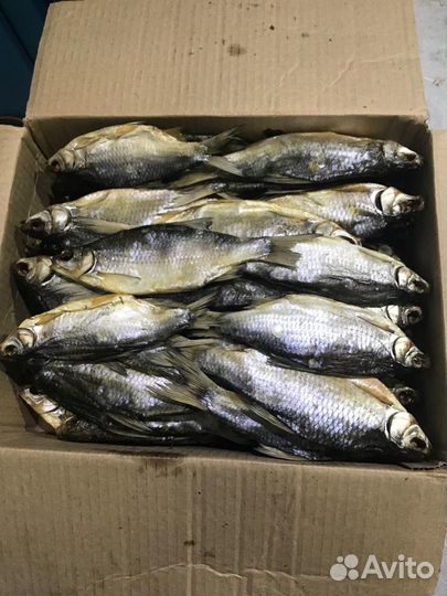 Вобла Астраханская вяленая икряная 19+ см от 7 кг