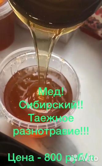 Мед таежный сибирский