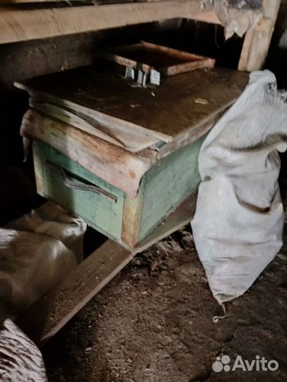 Ульи для пчел бу