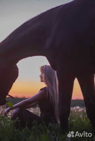 Фотосессии, прогулки, экскурсии, занятия